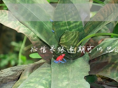 征信呆账逾期可以只还本金吗 征信呆账逾期可以只还本金吗