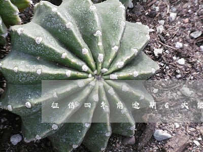 征信四年前逾期6次能贷款 征信四年前逾期6次能贷款