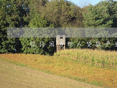 征信因为他人贷款产生逾期 征信因为他人贷款产生逾期