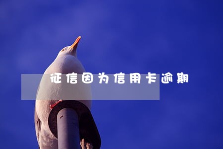 征信因为信用卡逾期 征信因为信用卡逾期