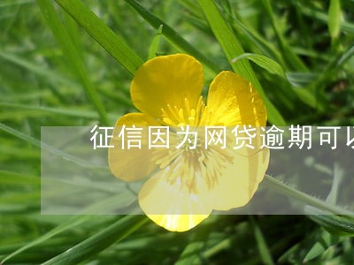 征信因为网贷逾期可以买房吗 征信因为网贷逾期可以买房吗