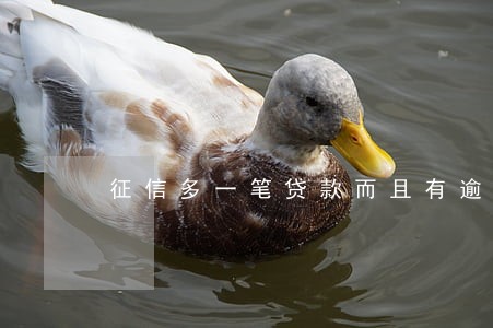 征信多一笔贷款而且有逾期 征信多一笔贷款而且有逾期