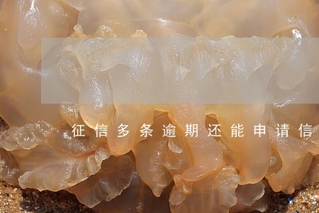 征信多条逾期还能申请信用卡吗 征信多条逾期还能申请信用卡吗