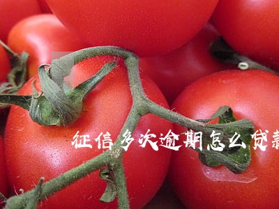 征信多次逾期怎么贷款买房 征信多次逾期怎么贷款买房