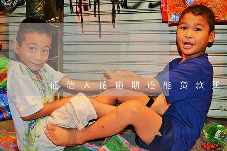 征信太花逾期还能贷款买车吗 征信太花逾期还能贷款买车吗