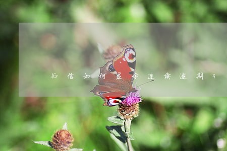 征信如何显示连续逾期3次 征信如何显示连续逾期3次