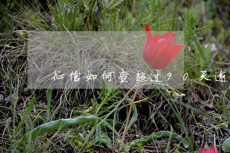 征信如何查超过90天逾期记录 征信如何查超过90天逾期记录