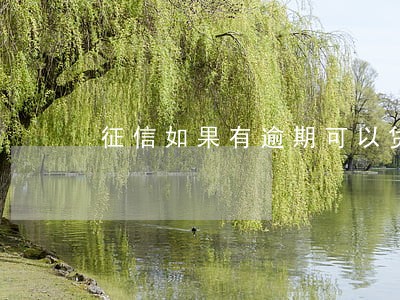 征信如果有逾期可以贷款吗 征信如果有逾期可以贷款吗