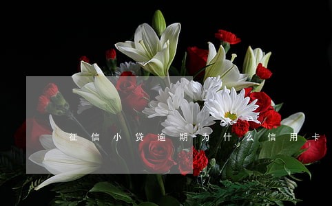 征信小贷逾期为什么信用卡还能用 征信小贷逾期为什么信用卡还能用