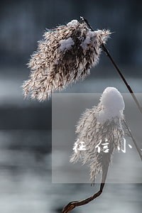 征信小额贷款一比逾期800 征信小额贷款一比逾期800