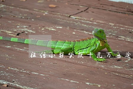 征信小额贷款十几万无逾期 征信小额贷款十几万无逾期