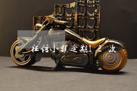 征信小额逾期12次 征信小额逾期12次