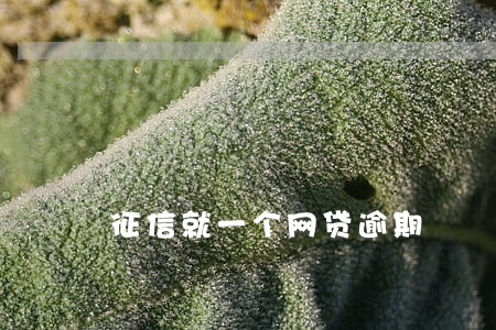 征信就一个网贷逾期 征信就一个网贷逾期