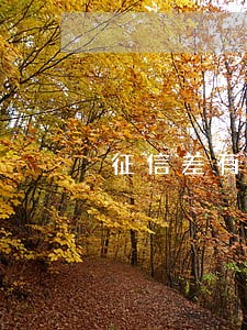 征信差有逾期能贷款吗 征信差有逾期能贷款吗