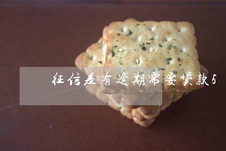 征信差有逾期需要贷款5万 征信差有逾期需要贷款5万