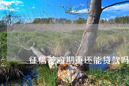 征信差逾期重还能贷款吗 征信差逾期重还能贷款吗