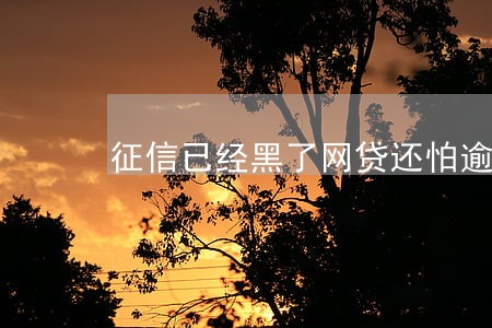 征信已经黑了网贷还怕逾期吗 征信已经黑了网贷还怕逾期吗