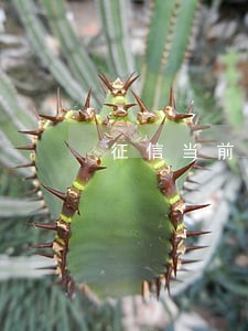 征信当前逾期30块钱怎么贷款 征信当前逾期30块钱怎么贷款