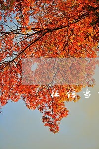 征信当前逾期还可以贷款吗 征信当前逾期还可以贷款吗