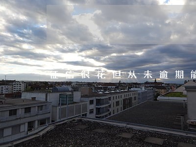 征信很花但从未逾期能贷款吗