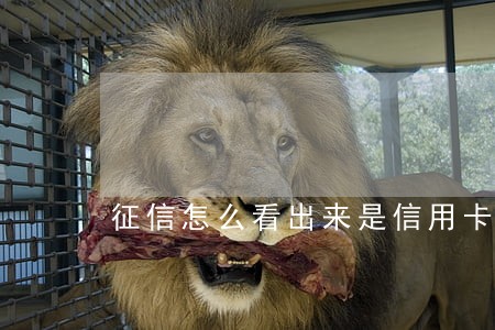 征信怎么看出来是信用卡逾期 征信怎么看出来是信用卡逾期