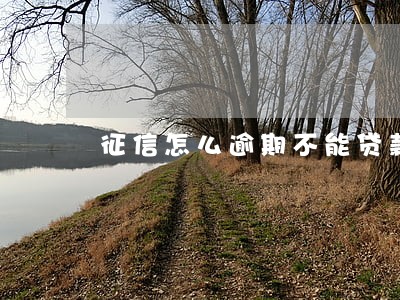 征信怎么逾期不能贷款 征信怎么逾期不能贷款