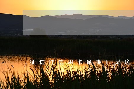 征信打信用卡逾期1是啥意思 征信打信用卡逾期1是啥意思