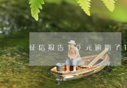 征信报告10元逾期了100天 征信报告10元逾期了100天