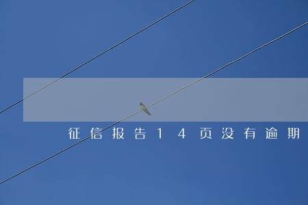 征信报告14页没有逾期