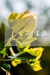 征信报告16次逾期好贷款吗 征信报告16次逾期好贷款吗