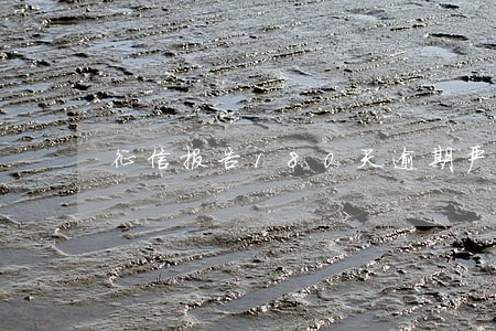 征信报告180天逾期严重吗