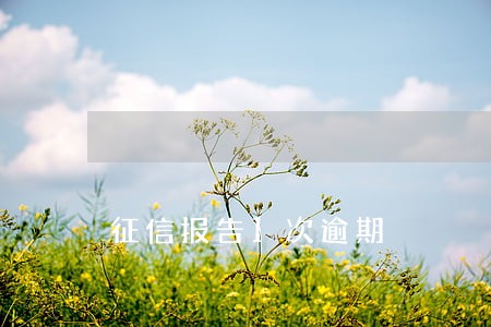 征信报告1次逾期 征信报告1次逾期
