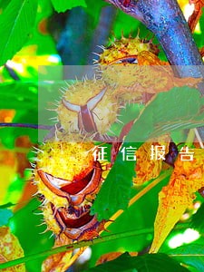 征信报告1笔逾期 征信报告1笔逾期