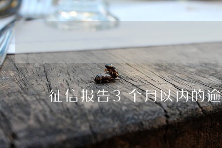 征信报告3个月以内的逾期 征信报告3个月以内的逾期