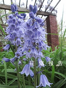 征信报告3是逾期多久 征信报告3是逾期多久