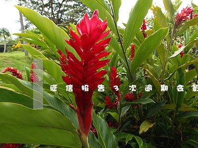征信报告3次逾期会影响车贷吗 征信报告3次逾期会影响车贷吗