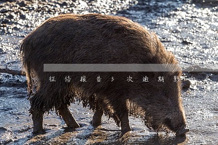 征信报告3次逾期影响房贷吗 征信报告3次逾期影响房贷吗