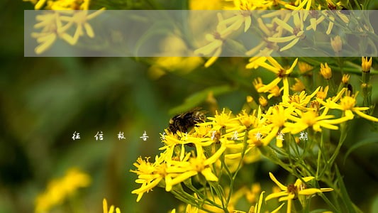 征信报告51页没有逾期 征信报告51页没有逾期