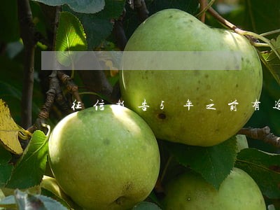 征信报告5年之前有逾期 征信报告5年之前有逾期