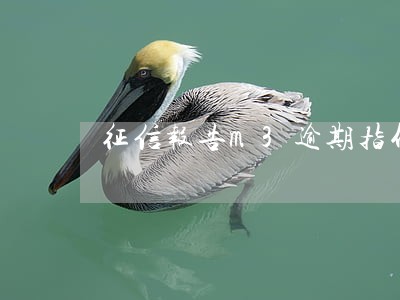 征信报告m3逾期指什么意思