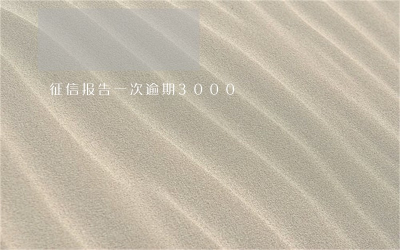 征信报告一次逾期3000