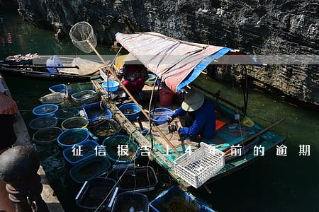 征信报告上4年前的逾期 征信报告上4年前的逾期