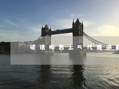 征信报告上5代表逾期多少天 征信报告上5代表逾期多少天