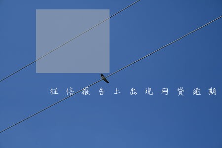 征信报告上出现网贷逾期 征信报告上出现网贷逾期