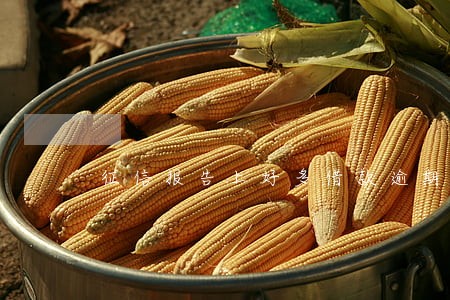 征信报告上好多借款逾期0 征信报告上好多借款逾期0