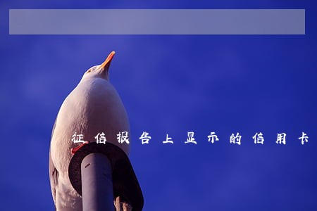 征信报告上显示的信用卡逾期了 征信报告上显示的信用卡逾期了