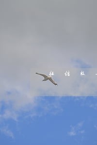 征信报告上显示逾期4次 征信报告上显示逾期4次