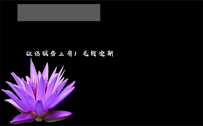征信报告上有1毛钱逾期 征信报告上有1毛钱逾期