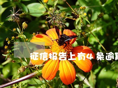 征信报告上有4条逾期 征信报告上有4条逾期