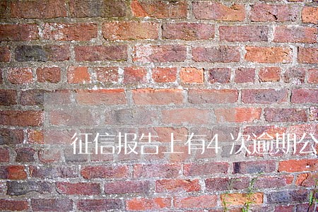 征信报告上有4次逾期公务员 征信报告上有4次逾期公务员